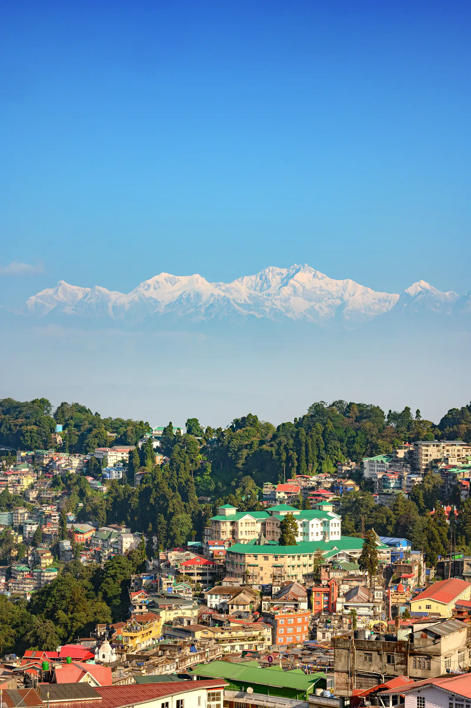 Sinclairs Darjeeling